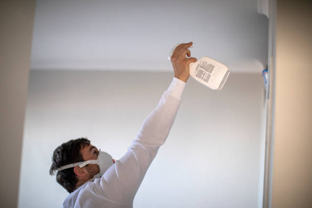 Best Industrial Mold Remediation in Morrow, GA
