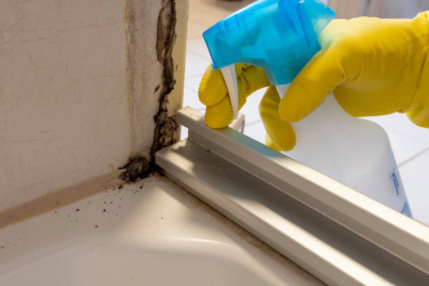  Morrow, GA Mold Removal Pros