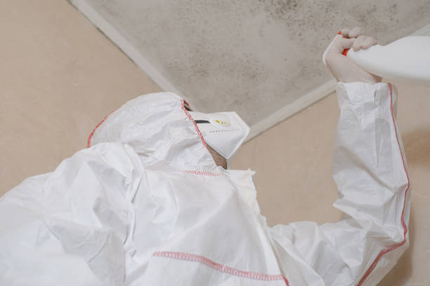 Best Residential Mold Remediation in Morrow, GA
