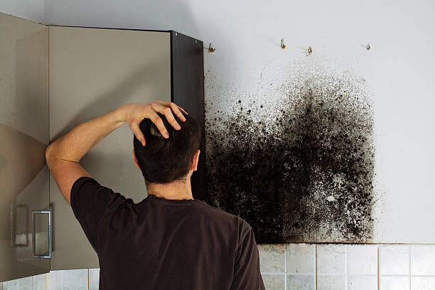 Best Insurance-Related Mold Remediation in Morrow, GA